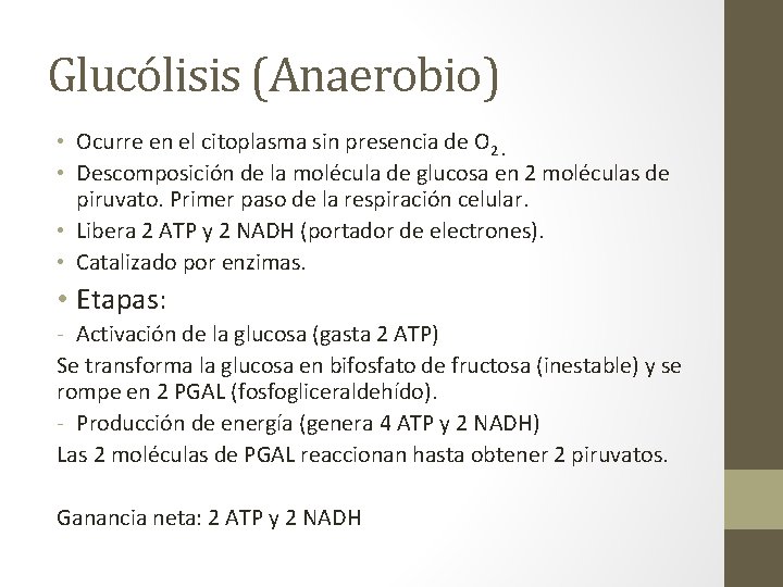 Glucólisis (Anaerobio) • Ocurre en el citoplasma sin presencia de O 2. • Descomposición