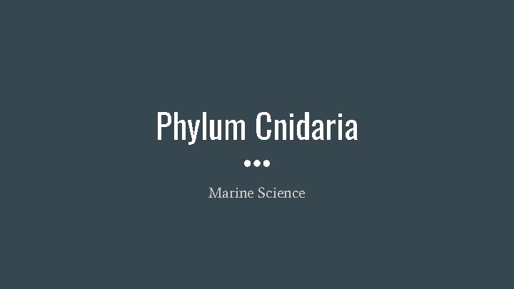 Phylum Cnidaria Marine Science 