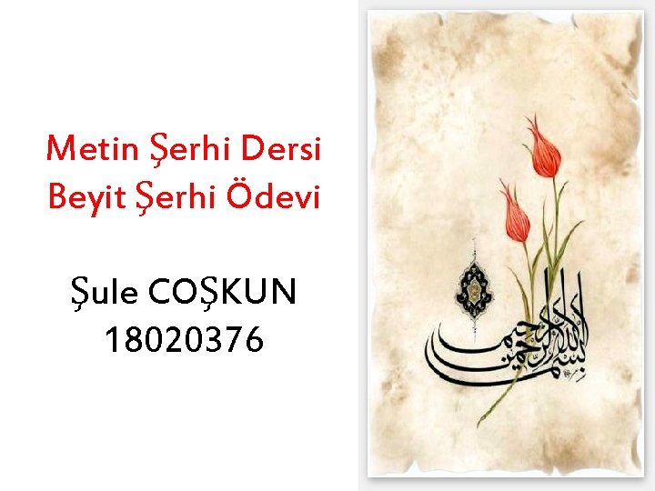 Metin Şerhi Dersi Beyit Şerhi Ödevi Şule COŞKUN 18020376 