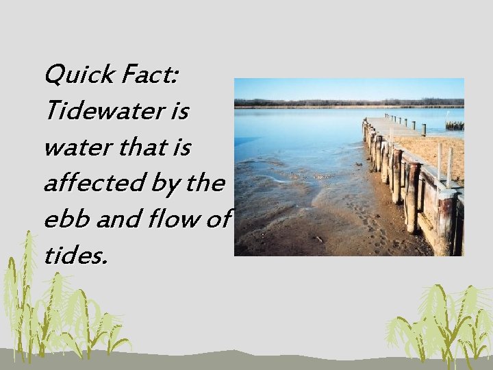 Quick Fact: Tidewater is water that is affected by the ebb and flow of