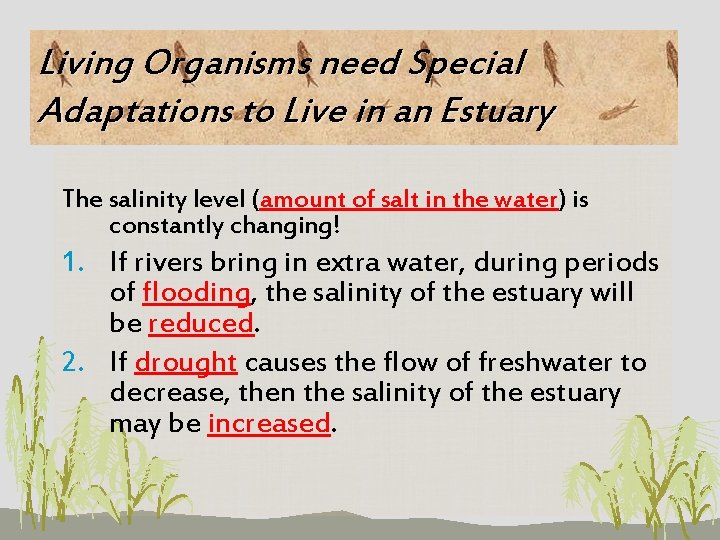 Living Organisms need Special Adaptations to Live in an Estuary The salinity level (amount