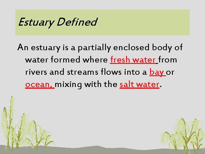 Estuary Defined An estuary is a partially enclosed body of water formed where fresh