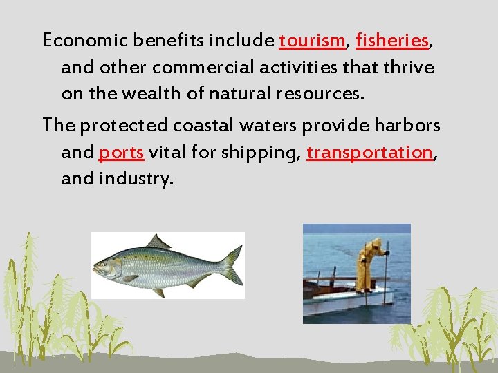 Economic benefits include tourism, fisheries, and other commercial activities that thrive on the wealth