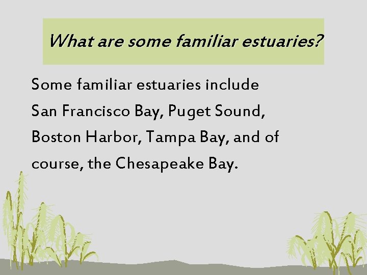 What are some familiar estuaries? Some familiar estuaries include San Francisco Bay, Puget Sound,