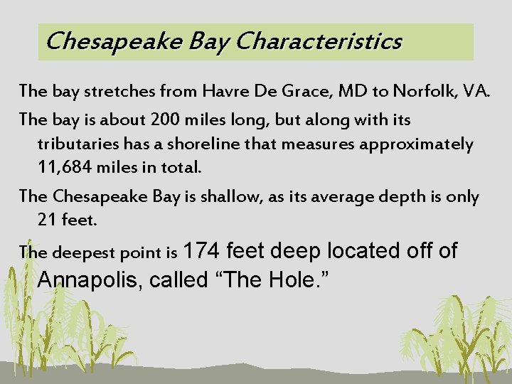 Chesapeake Bay Characteristics The bay stretches from Havre De Grace, MD to Norfolk, VA.