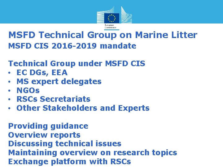 MSFD Technical Group on Marine Litter MSFD CIS 2016 -2019 mandate Technical Group under