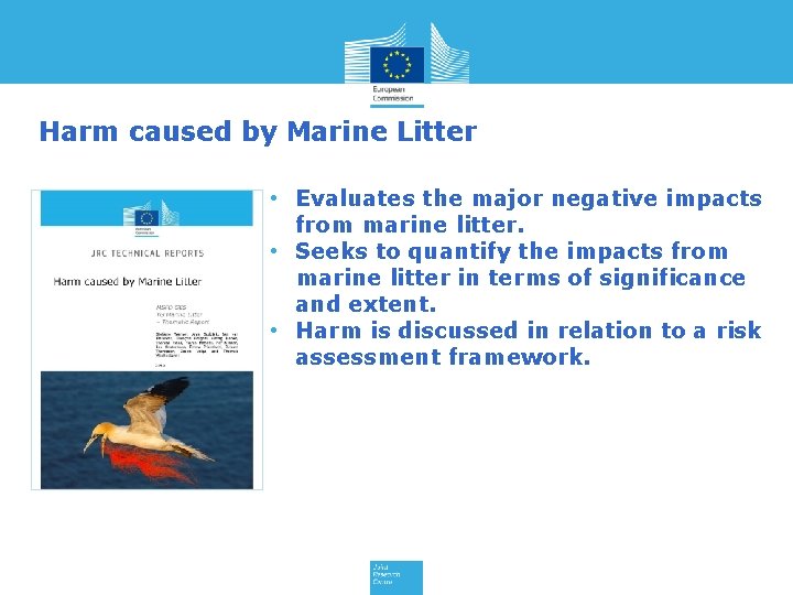 Harm caused by Marine Litter • Evaluates the major negative impacts from marine litter.