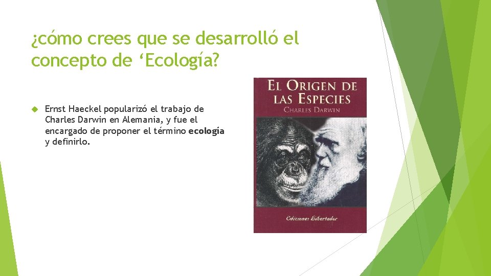 ¿cómo crees que se desarrolló el concepto de ‘Ecología? Ernst Haeckel popularizó el trabajo