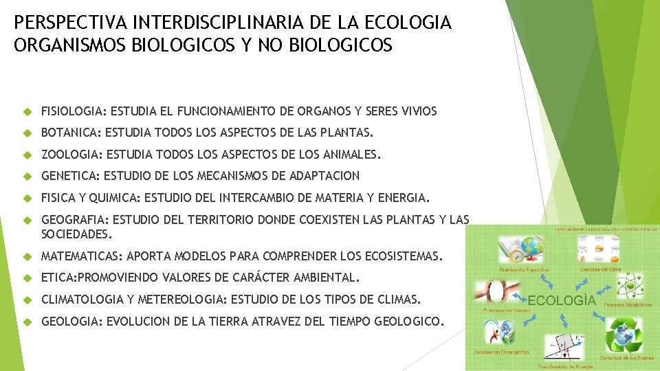 PERSPECTIVA INTERDISCIPLINARIA DE LA ECOLOGIA ORGANISMOS BIOLOGICOS Y NO BIOLOGICOS FISIOLOGIA: ESTUDIA EL FUNCIONAMIENTO