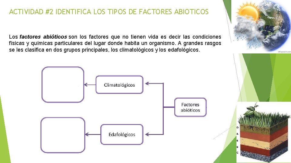 ACTIVIDAD #2 IDENTIFICA LOS TIPOS DE FACTORES ABIOTICOS Los factores abióticos son los factores