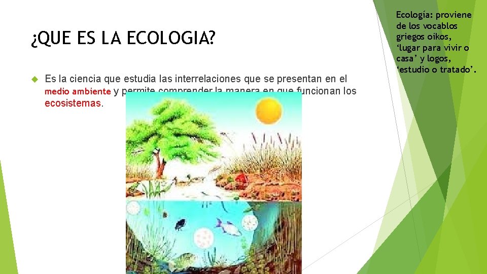 ¿QUE ES LA ECOLOGIA? Es la ciencia que estudia las interrelaciones que se presentan