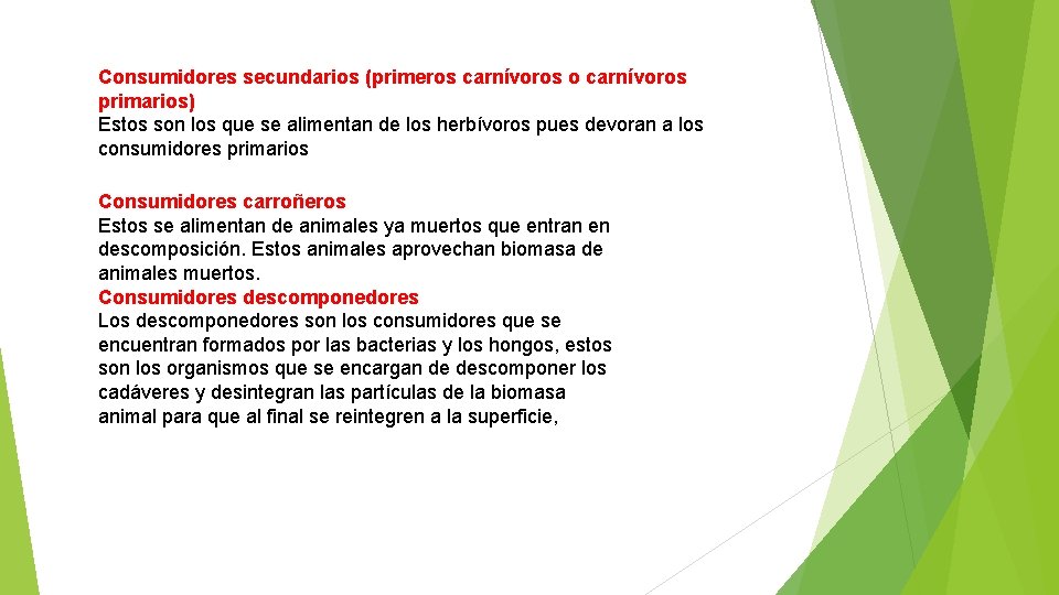 Consumidores secundarios (primeros carnívoros o carnívoros primarios) Estos son los que se alimentan de