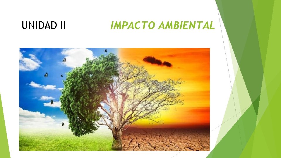 UNIDAD II IMPACTO AMBIENTAL 