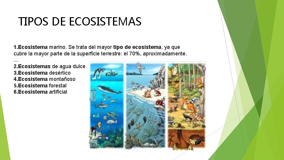 TIPOS DE ECOSISTEMAS 1. Ecosistema marino. Se trata del mayor tipo de ecosistema, ya