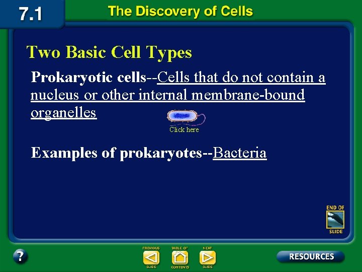 Two Basic Cell Types Prokaryotic cells--Cells that do not contain a nucleus or other