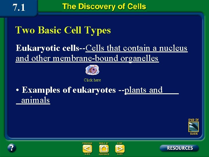 7. 1 Two Basic Cell Types Eukaryotic cells--Cells that contain a nucleus and other