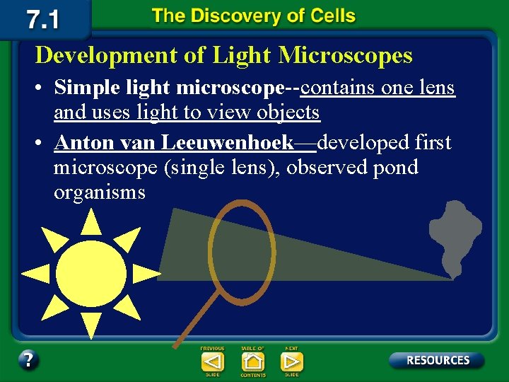 Development of Light Microscopes • Simple light microscope--contains one lens and uses light to