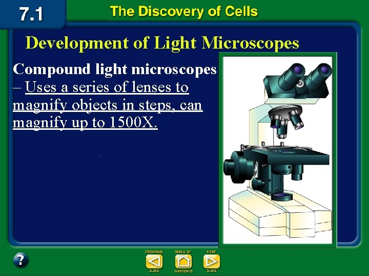 Development of Light Microscopes Compound light microscopes – Uses a series of lenses to