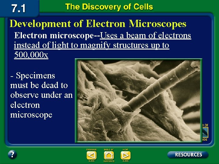 Development of Electron Microscopes Electron microscope--Uses a beam of electrons instead of light to