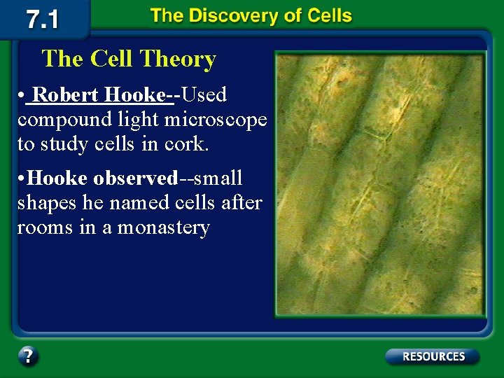 The Cell Theory • Robert Hooke--Used compound light microscope to study cells in cork.