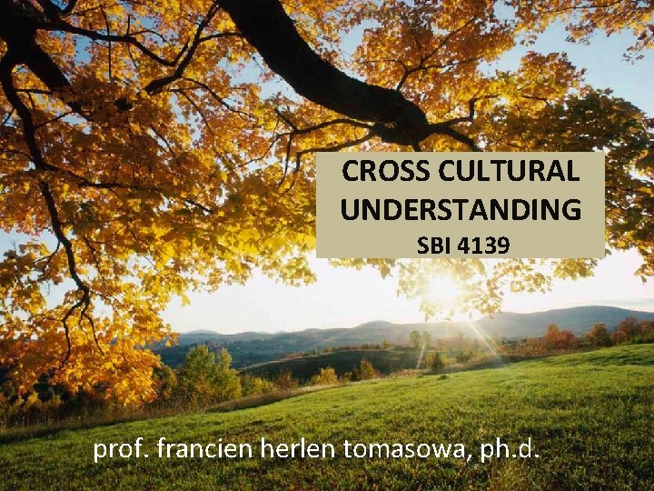 CROSS CULTURAL UNDERSTANDING SBI 4139 prof. francien herlen tomasowa, ph. d. 