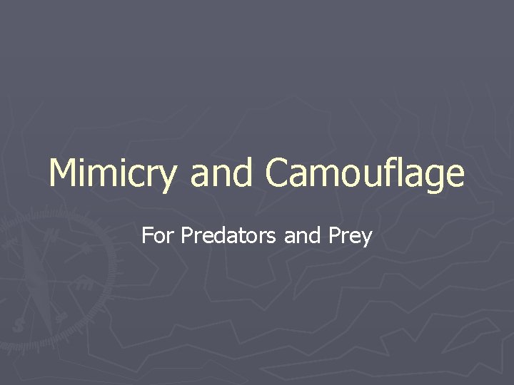 Mimicry and Camouflage For Predators and Prey 