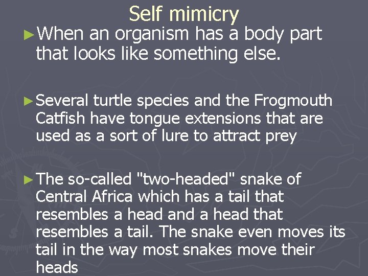 ►When Self mimicry an organism has a body part that looks like something else.