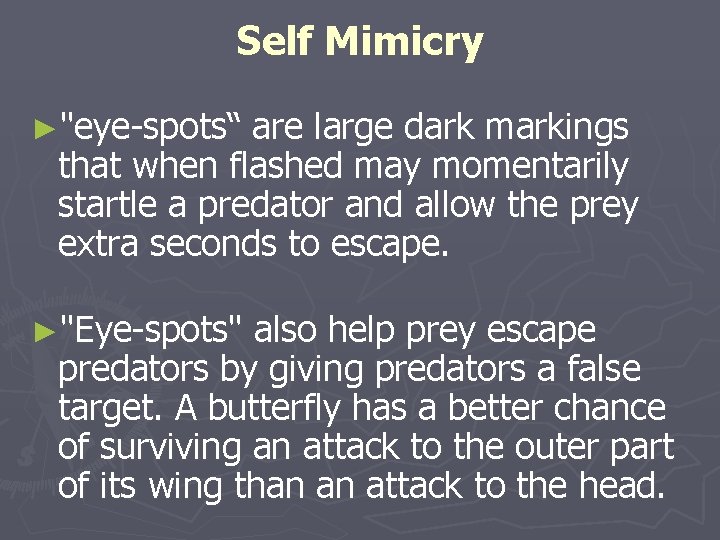 Self Mimicry ►"eye-spots“ are large dark markings that when flashed may momentarily startle a