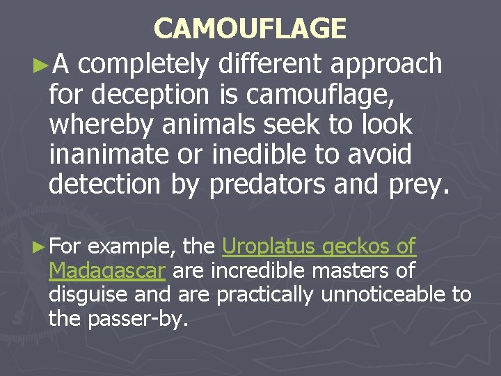 CAMOUFLAGE ►A completely different approach for deception is camouflage, whereby animals seek to look