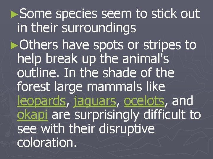 ►Some species seem to stick out in their surroundings ►Others have spots or stripes