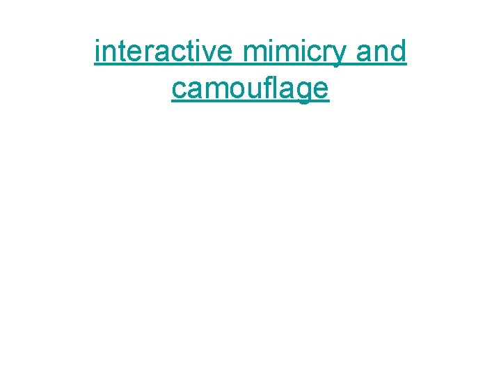 interactive mimicry and camouflage 