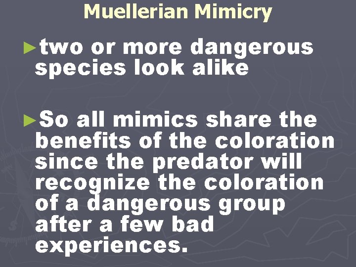 Muellerian Mimicry ►two or more dangerous species look alike ►So all mimics share the