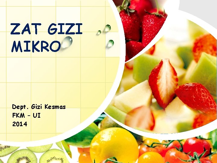 ZAT GIZI MIKRO Dept. Gizi Kesmas FKM – UI 2014 