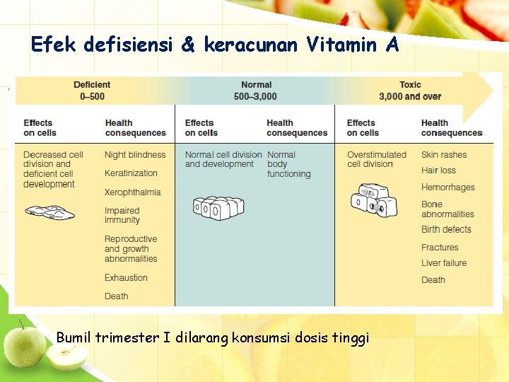 Efek defisiensi & keracunan Vitamin A Bumil trimester I dilarang konsumsi dosis tinggi 