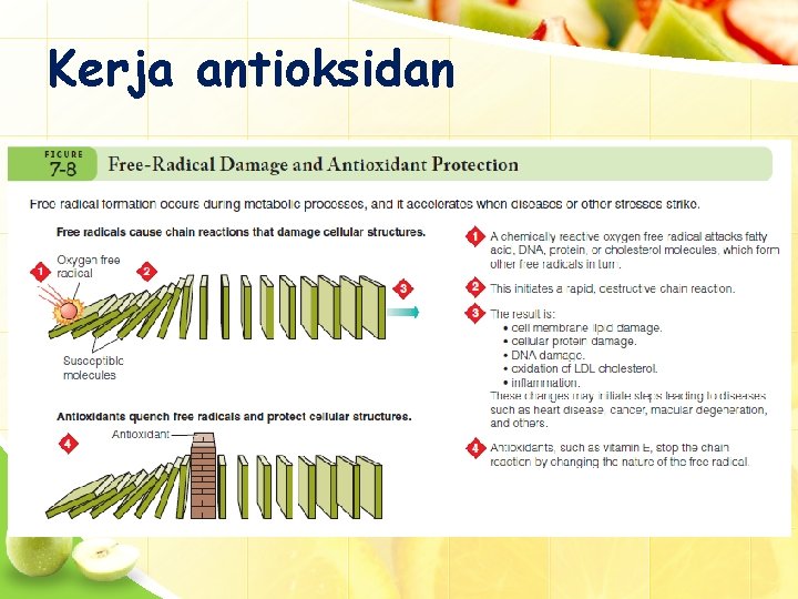 Kerja antioksidan 