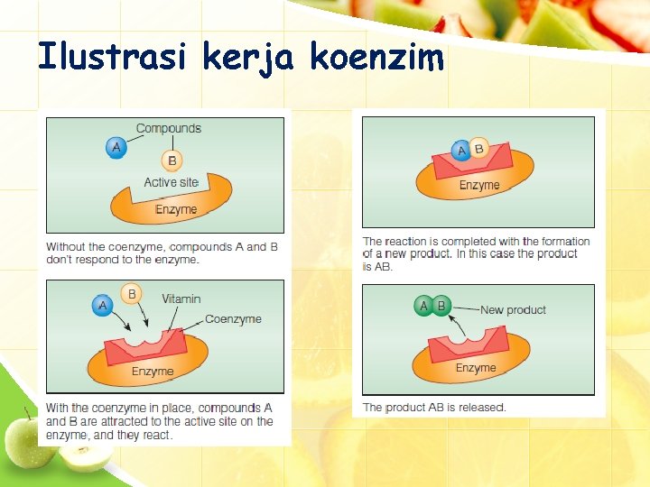 Ilustrasi kerja koenzim 