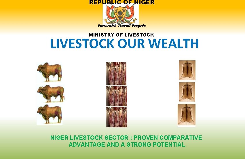 REPUBLIC OF NIGER Fraternité Travail Progrès MINISTRY OF LIVESTOCK OUR WEALTH NIGER LIVESTOCK SECTOR