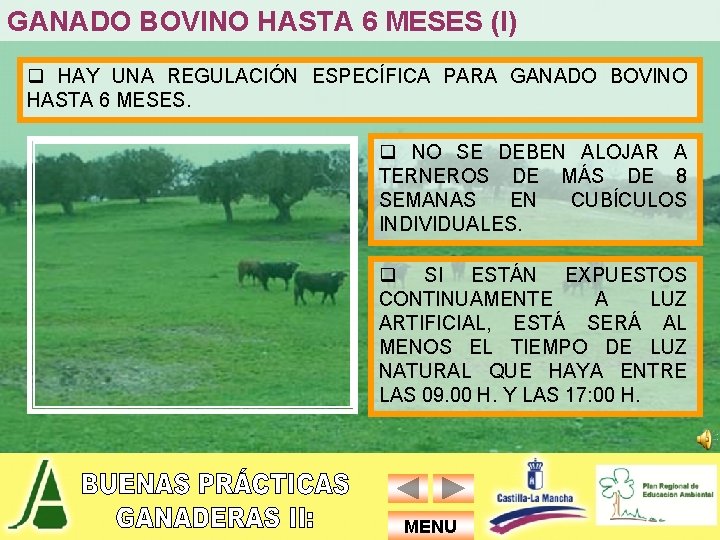 GANADO BOVINO HASTA 6 MESES (I) q HAY UNA REGULACIÓN ESPECÍFICA PARA GANADO BOVINO