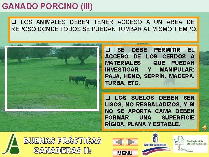 GANADO PORCINO (III) q LOS ANIMALES DEBEN TENER ACCESO A UN ÁREA DE REPOSO