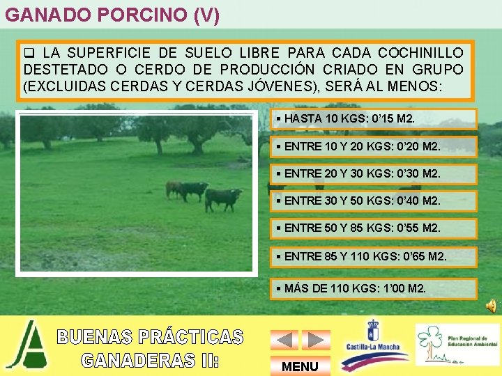 GANADO PORCINO (V) q LA SUPERFICIE DE SUELO LIBRE PARA CADA COCHINILLO DESTETADO O