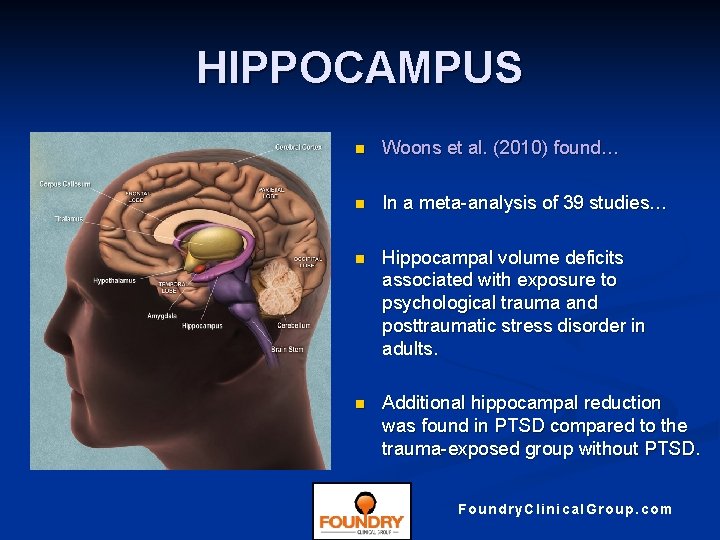 HIPPOCAMPUS n Woons et al. (2010) found… n In a meta-analysis of 39 studies…