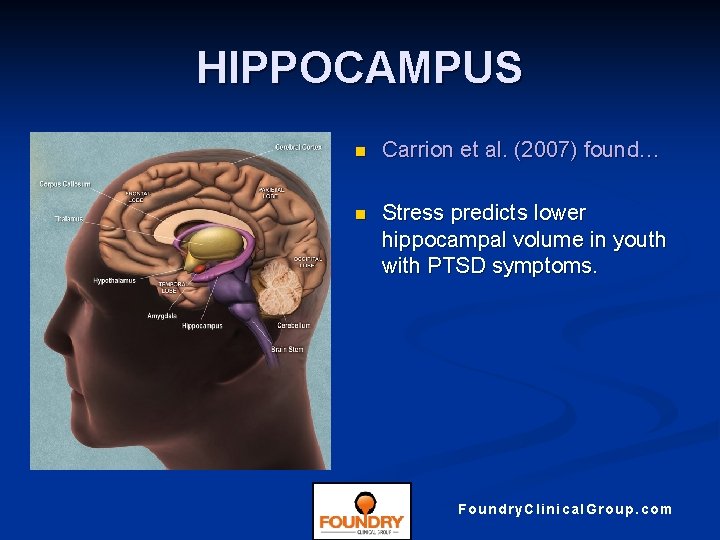 HIPPOCAMPUS n Carrion et al. (2007) found… n Stress predicts lower hippocampal volume in