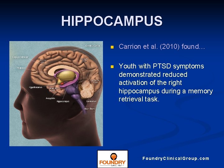 HIPPOCAMPUS n Carrion et al. (2010) found… n Youth with PTSD symptoms demonstrated reduced