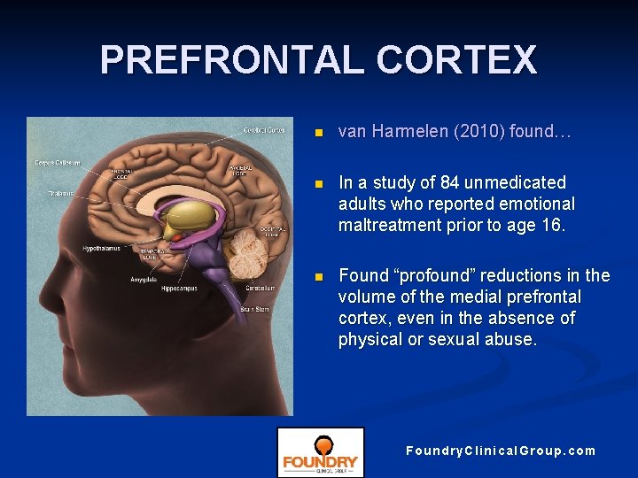 PREFRONTAL CORTEX n van Harmelen (2010) found… n In a study of 84 unmedicated