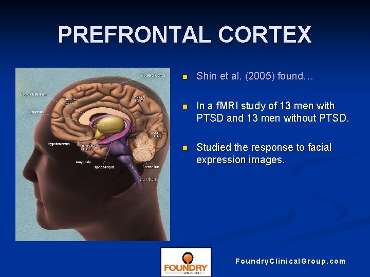 PREFRONTAL CORTEX n Shin et al. (2005) found… n In a f. MRI study