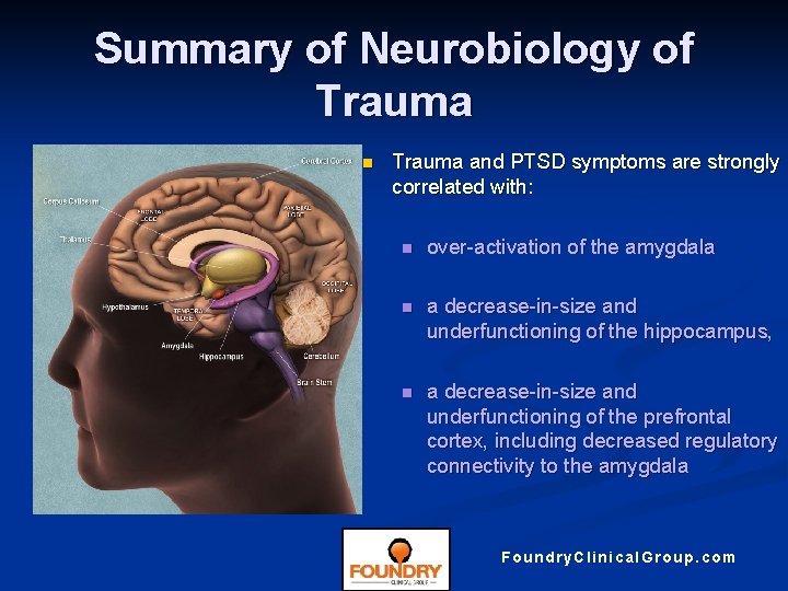 Summary of Neurobiology of Trauma n Trauma and PTSD symptoms are strongly correlated with: