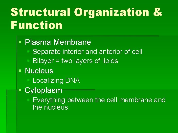 Structural Organization & Function § Plasma Membrane § Separate interior and anterior of cell