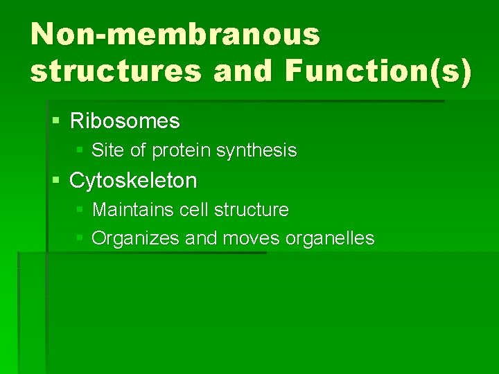 Non-membranous structures and Function(s) § Ribosomes § Site of protein synthesis § Cytoskeleton §