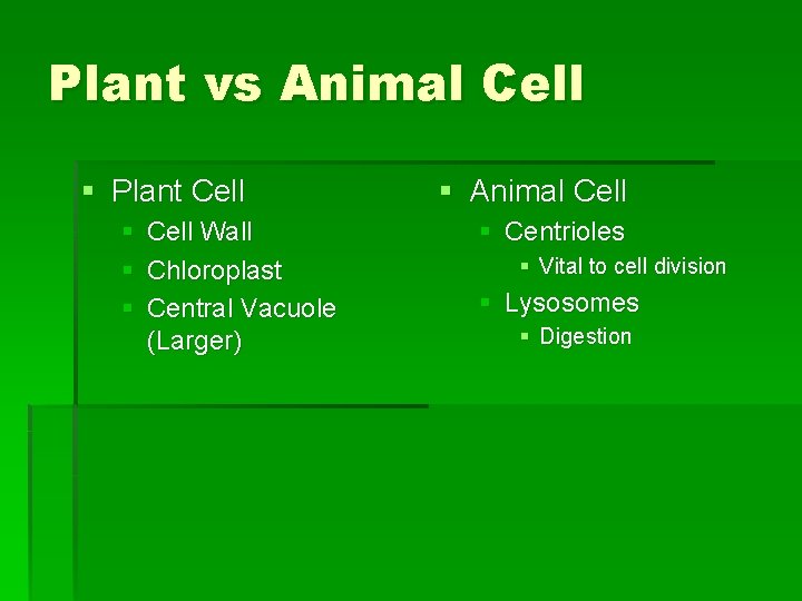 Plant vs Animal Cell § Plant Cell § Cell Wall § Chloroplast § Central