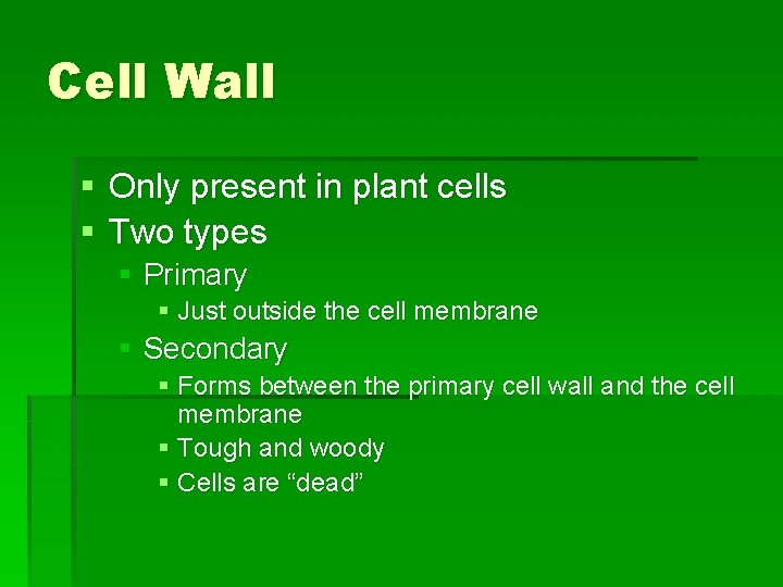 Cell Wall § Only present in plant cells § Two types § Primary §